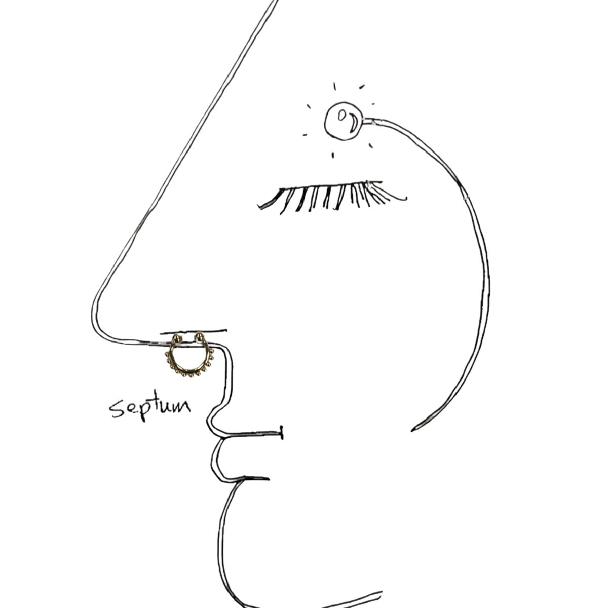 All About Basic Diamond Septum