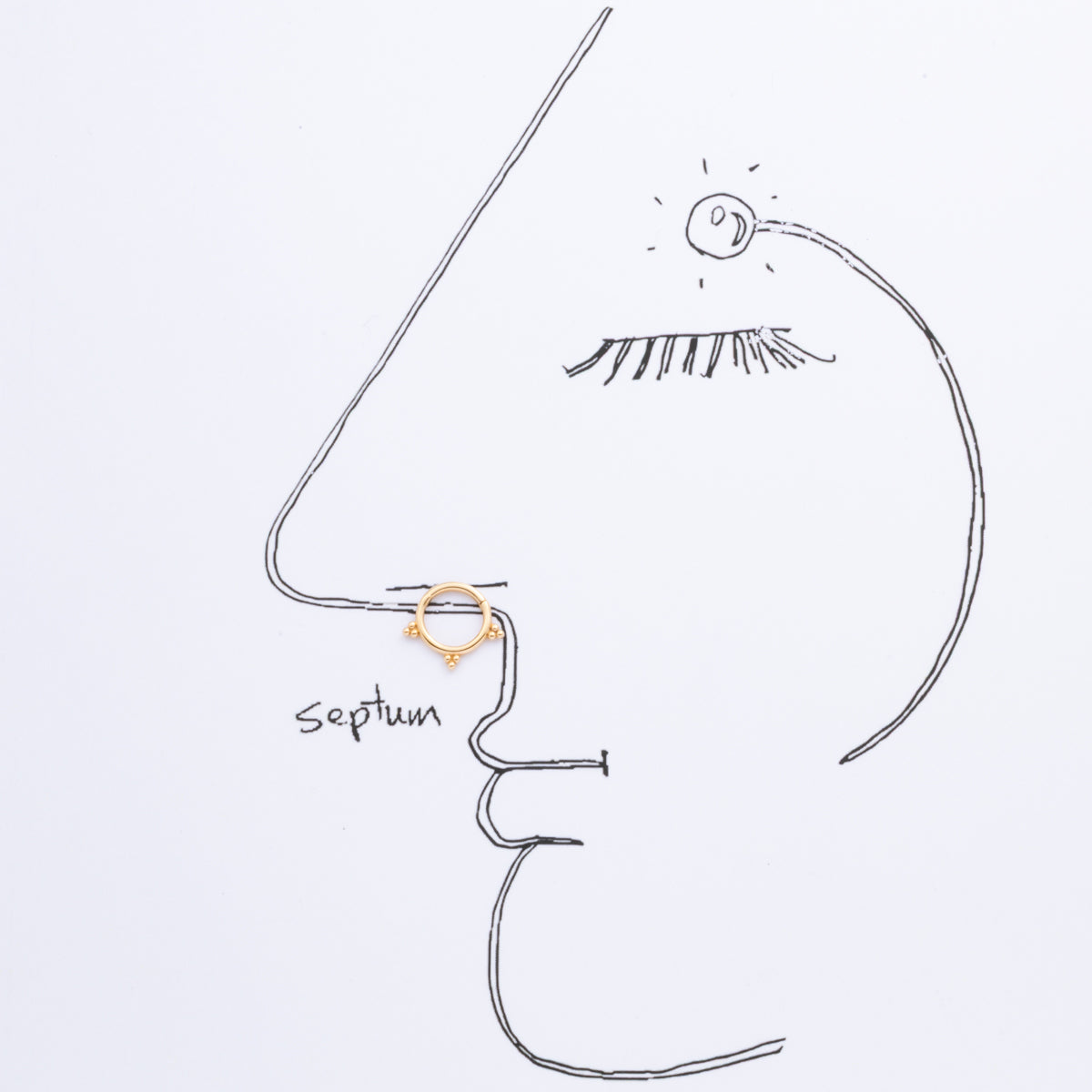 ALL ABOUT BASICS Septum