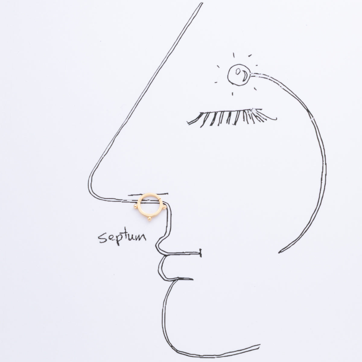 ALL ABOUT BASICS Septum