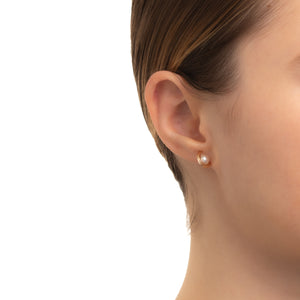 BELUGA Akoya Pearl Earring Small size