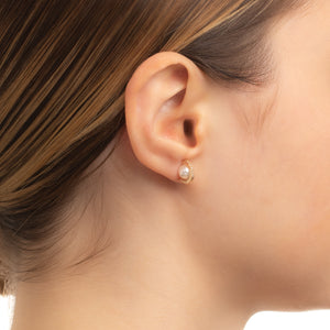 BELUGA Akoya Pearl Diamond Earring Small size