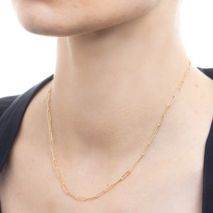 18K ALL ABOUT BASICS Labber Chain Necklace